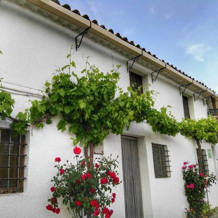 Casa Rural El Cortijo Nuevo, En El Cerezo Dış mekan fotoğraf