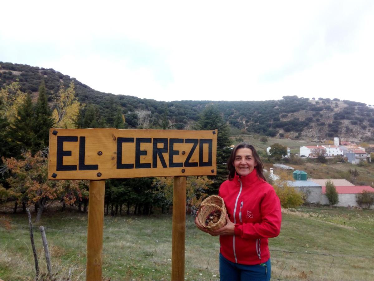 Casa Rural El Cortijo Nuevo, En El Cerezo Dış mekan fotoğraf