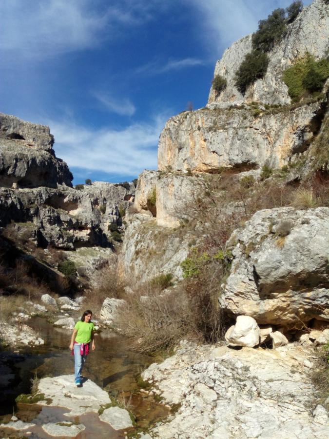 Casa Rural El Cortijo Nuevo, En El Cerezo Dış mekan fotoğraf