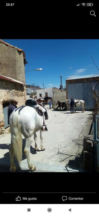 Casa Rural El Cortijo Nuevo, En El Cerezo Dış mekan fotoğraf