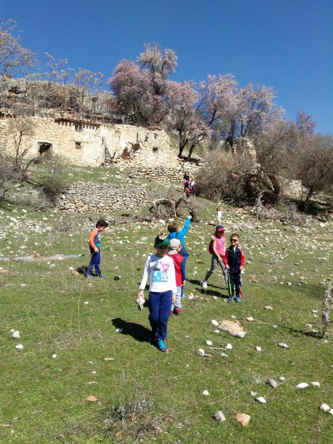 Casa Rural El Cortijo Nuevo, En El Cerezo Dış mekan fotoğraf